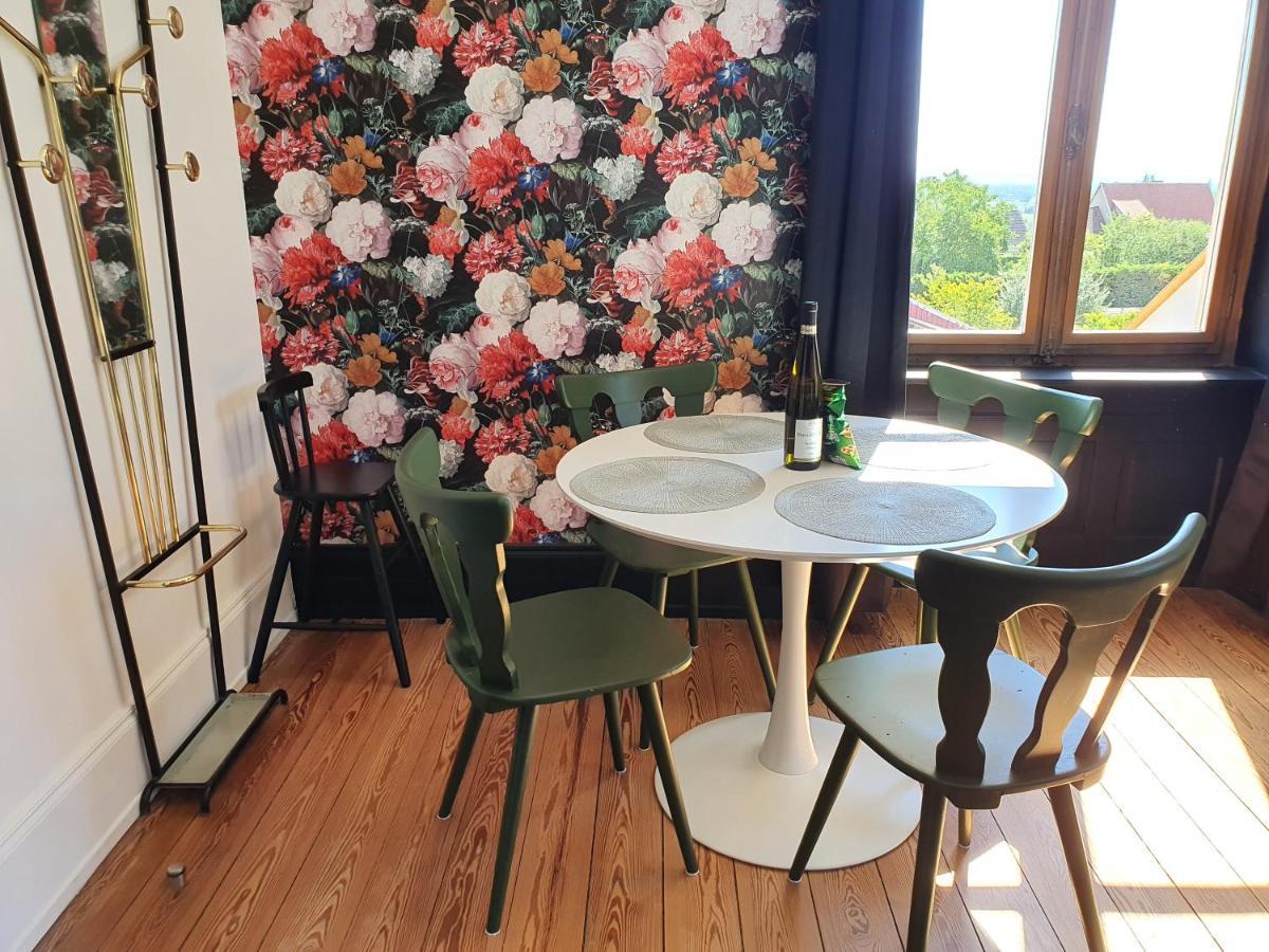 Sojolidays - Appartements D'Hotes Sur La Route Des Vins D'Alsace Rorschwihr Buitenkant foto