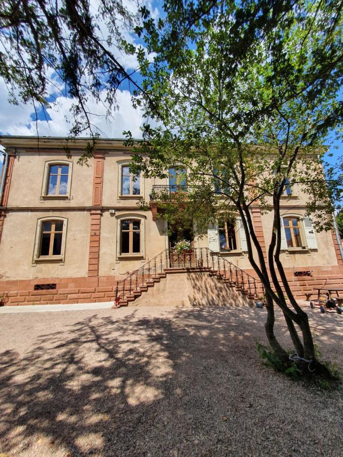 Sojolidays - Appartements D'Hotes Sur La Route Des Vins D'Alsace Rorschwihr Buitenkant foto
