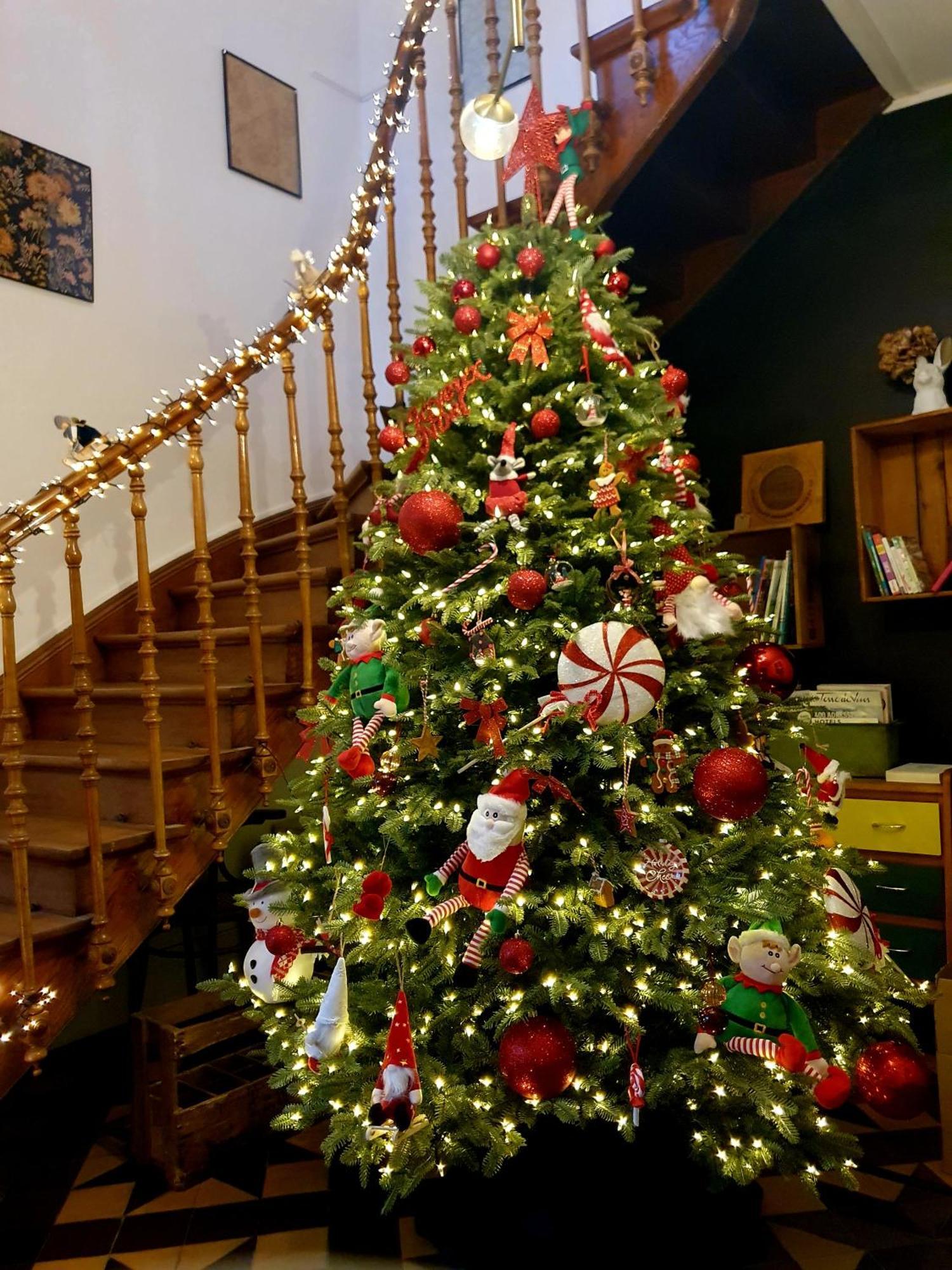 Sojolidays - Appartements D'Hotes Sur La Route Des Vins D'Alsace Rorschwihr Buitenkant foto